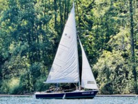 Seeadler